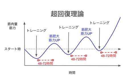 【筋トレ】筋肉回復の部位別期間・超回復。